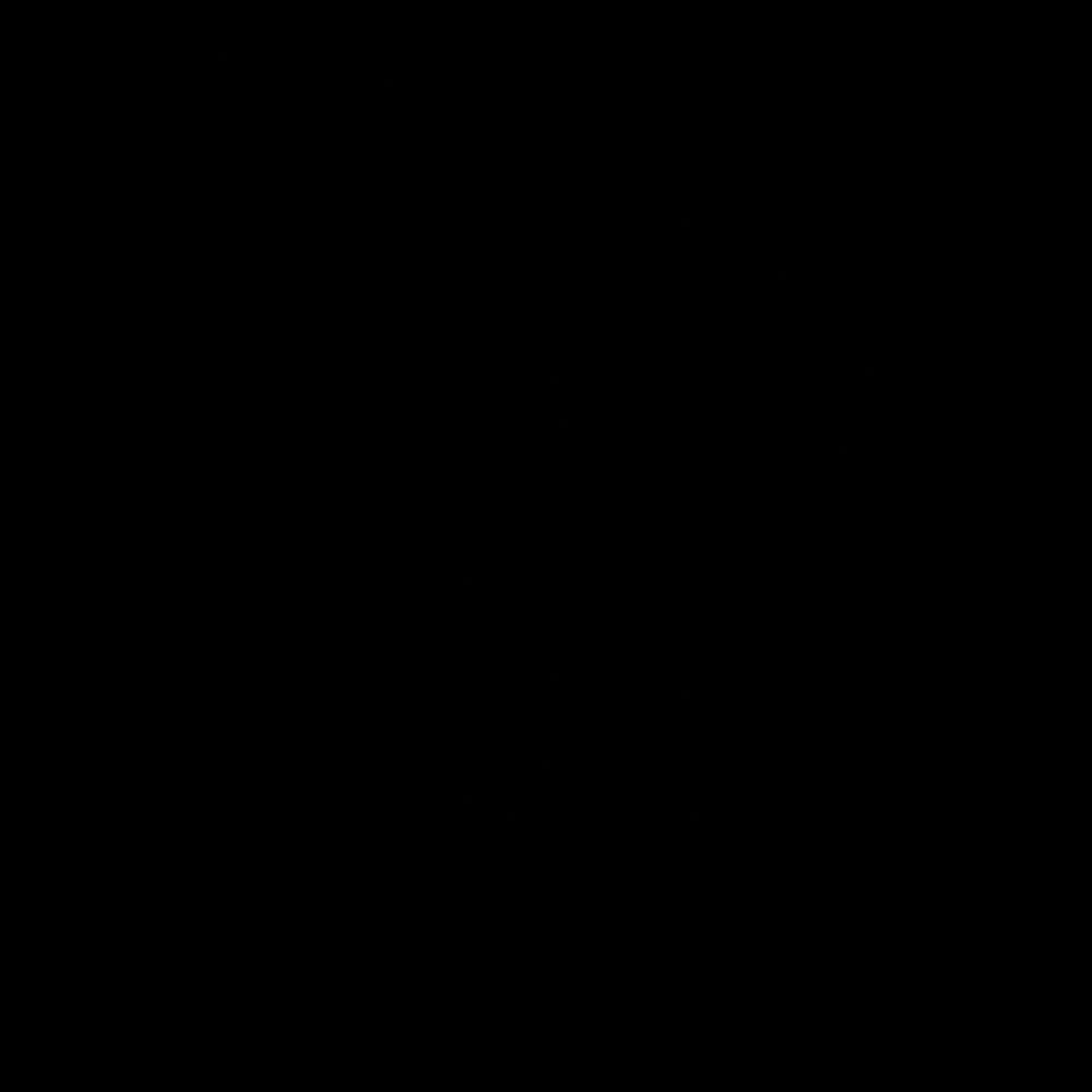 NWOT PRADA Printed Cotton Fleece Crewneck Sweatshirt - Picture 6 of 12